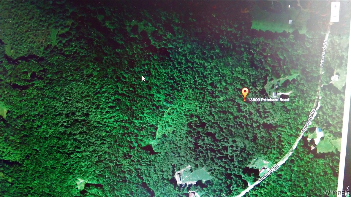 Vacant Lot Pritchard Road Springville, NY 14141 - Photo 1 of 1