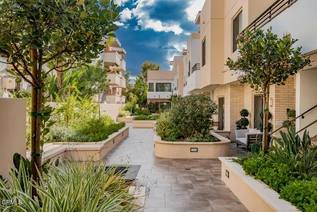 a view of a garden with plants