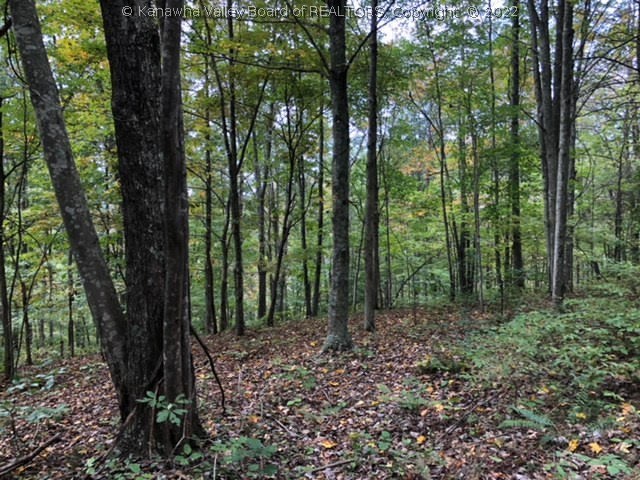 0 First Creek Road Ripley, WV 25271 - Photo 11 of 20 Gallery Image 11