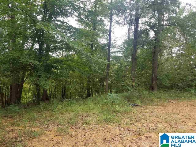 4460 Brookside - Cardiff Road Graysville, AL 35073 - Photo 1 of 1