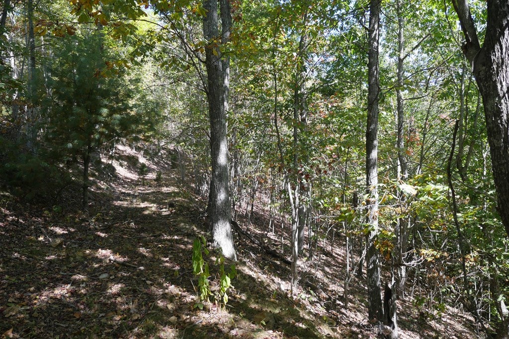 Tbd Hall Hollow Road, Unit 1 Austinville, VA 24312 - Photo 10 of 76 Gallery Image 10