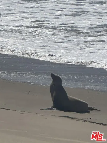 $1,399,000 | 29500 Heathercliff Road, Unit 16, Malibu, CA 90265