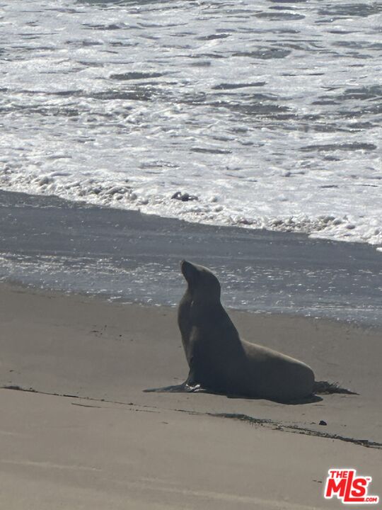 29500 Heathercliff Road, Unit 16 Malibu, CA 90265 - Photo 25 of 25 a close up of a sink
