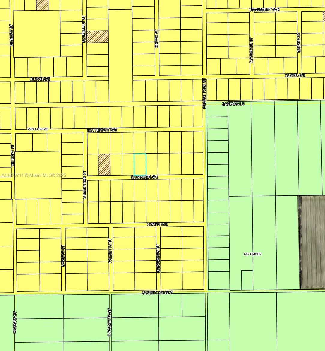 4132 Oleander Avenue Bunnell, FL 32110 - Photo 3 of 4