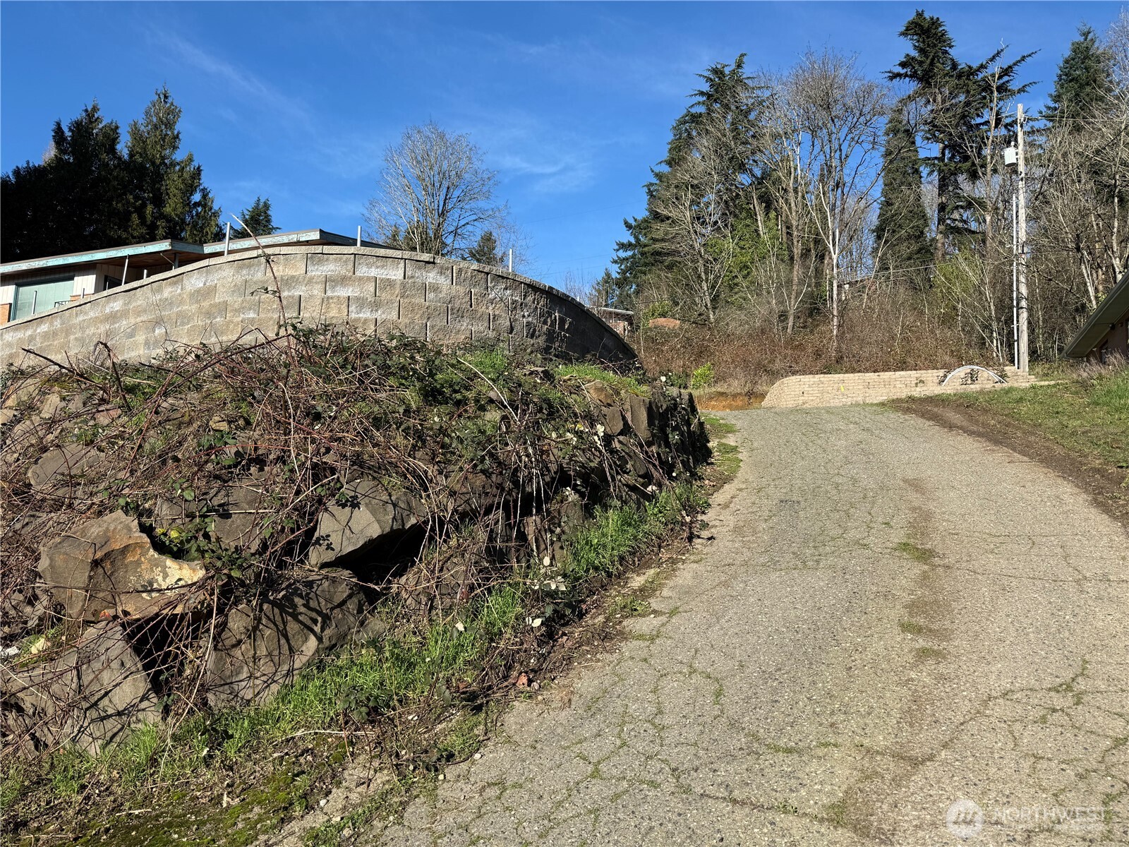 6800 South 133rd Street Seattle, WA 98178 - Photo 11 of 12 a view of a yard with mountain