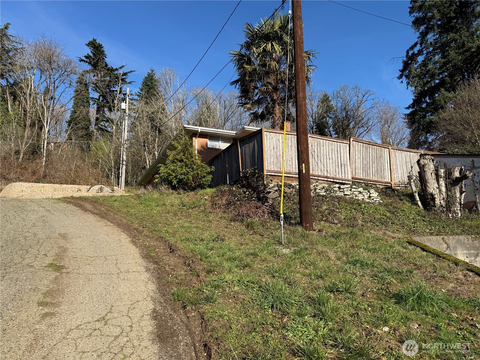 6800 South 133rd Street Seattle, WA 98178 - Photo 12 of 12 a view of a backyard with trees