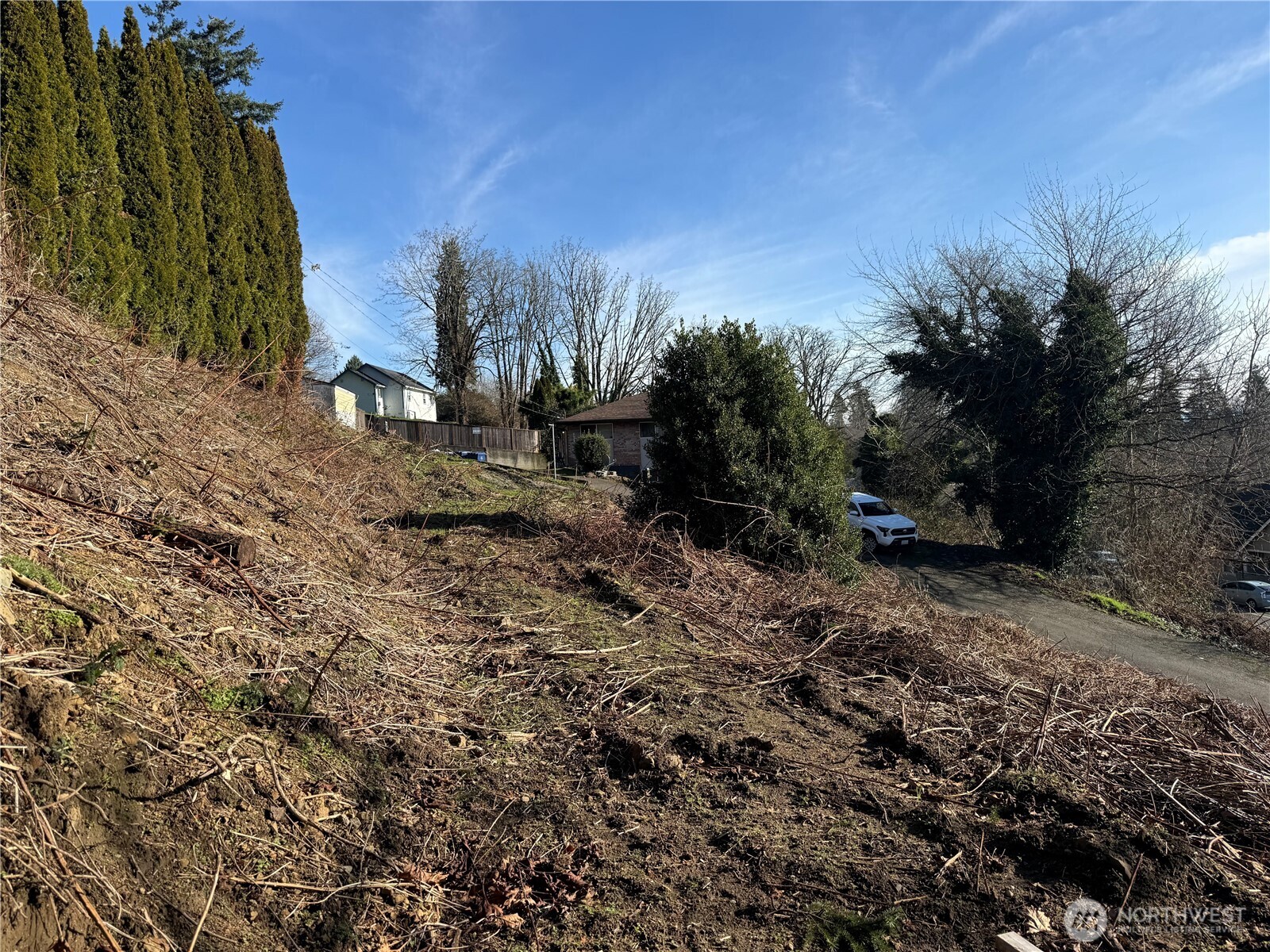 6800 South 133rd Street Seattle, WA 98178 - Photo 5 of 12 a view of a yard with a tree