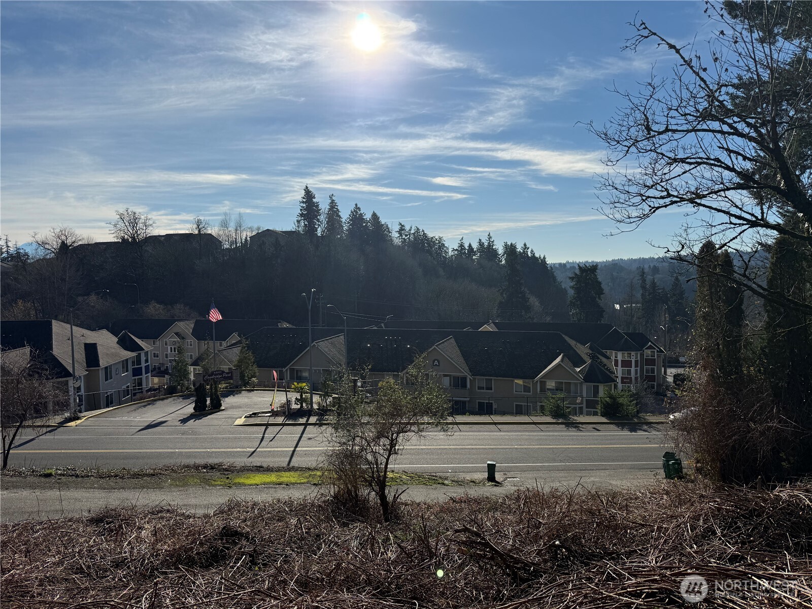6800 South 133rd Street Seattle, WA 98178 - Photo 7 of 12 a view of a park with lots of trees and plants