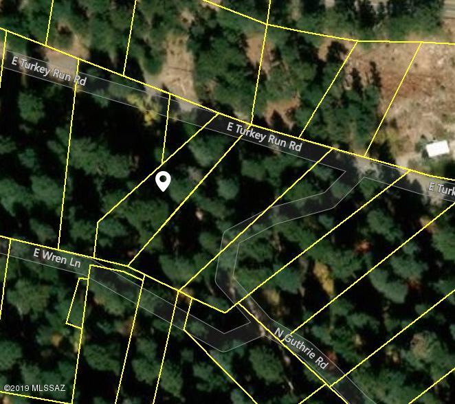 10980 East Turkey Run Road Mount Lemmon, AZ 85619 - Photo 25 of 31 Gallery Image 25