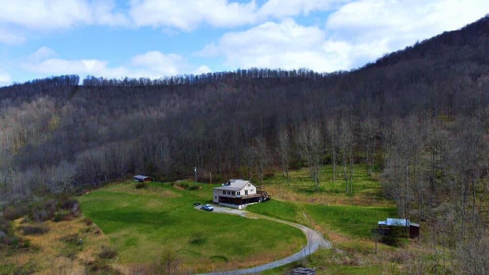 1695 Linwood Road Cass, WV 24927 - Photo 33 of 46 aerial2