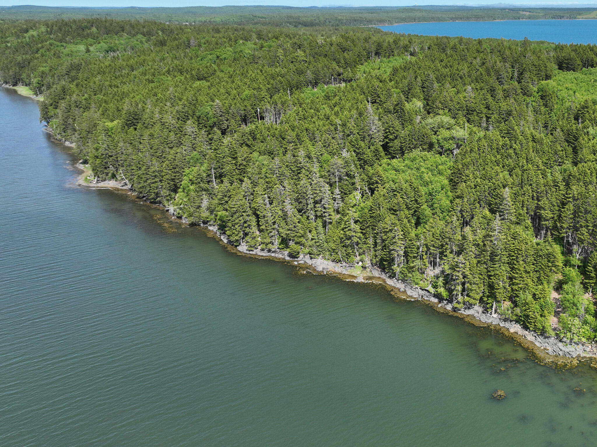 Lot #73 Nepp Point Road Roque Bluffs, ME 04654 - Photo 3 of 13 DJI_0276