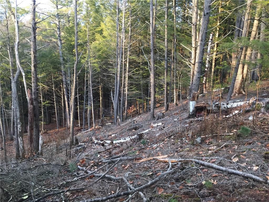 125 Douglas Mill Road Porter, ME 04068 - Photo 15 of 15 Photo