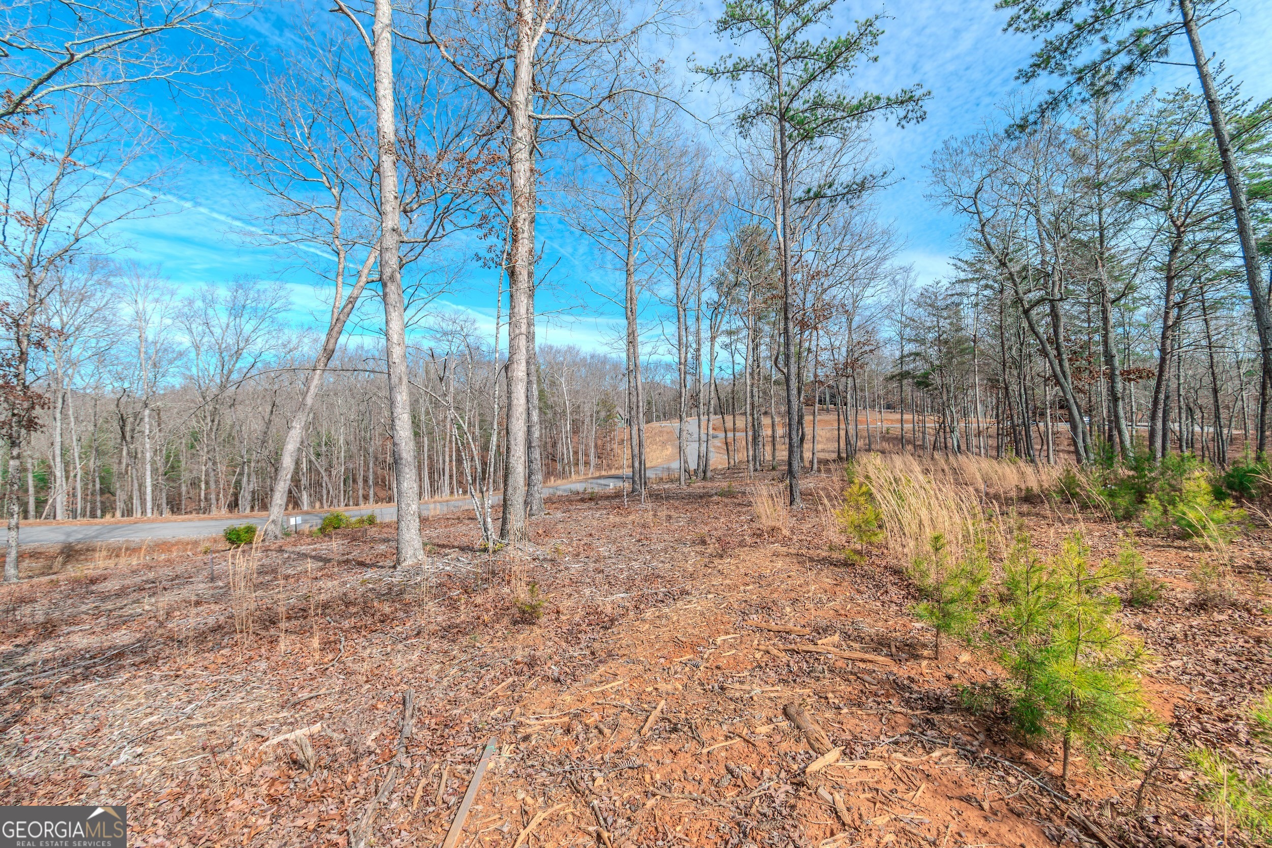Lot 61 Ridges Drive Morganton, GA 30560 - Photo 12 of 22 a view of backyard with tree