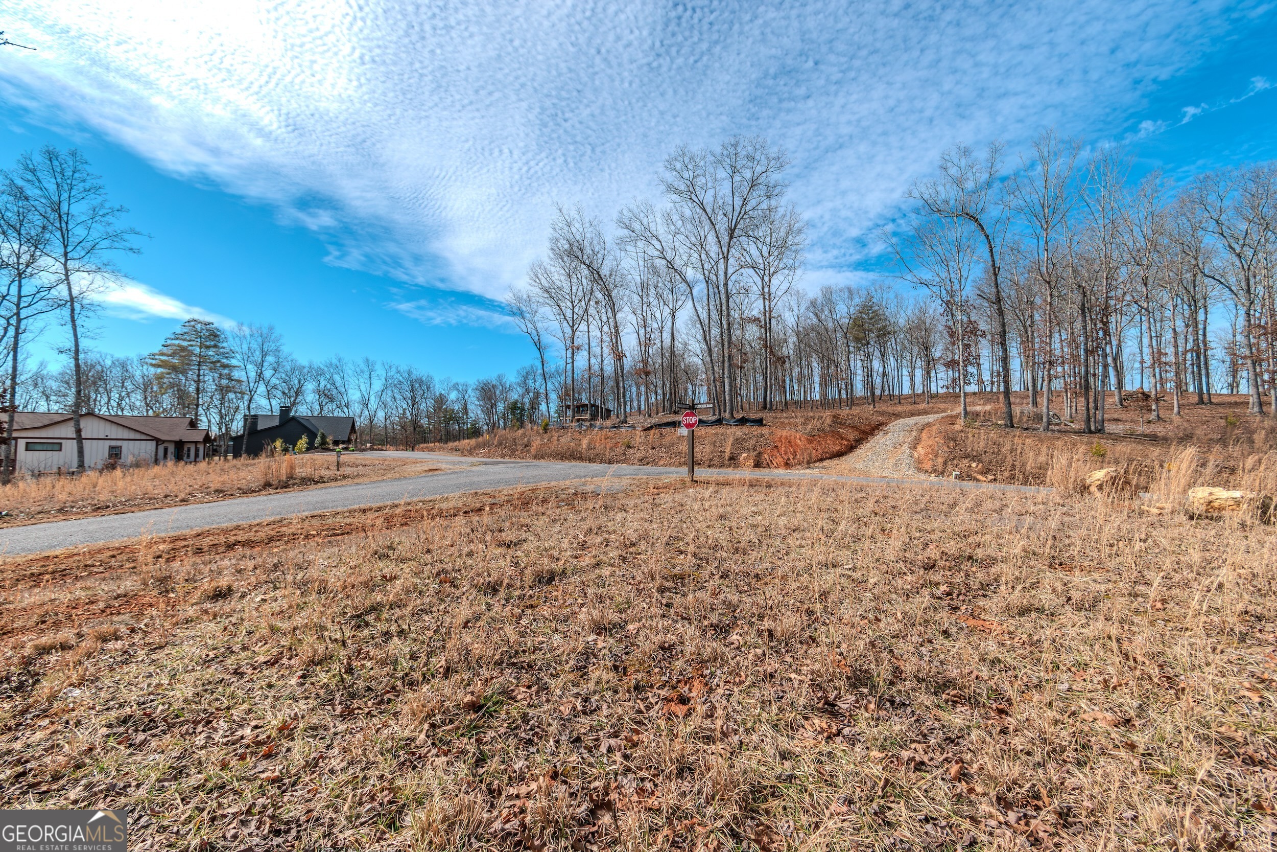 Lot 61 Ridges Drive Morganton, GA 30560 - Photo 13 of 22 a view of road with snow