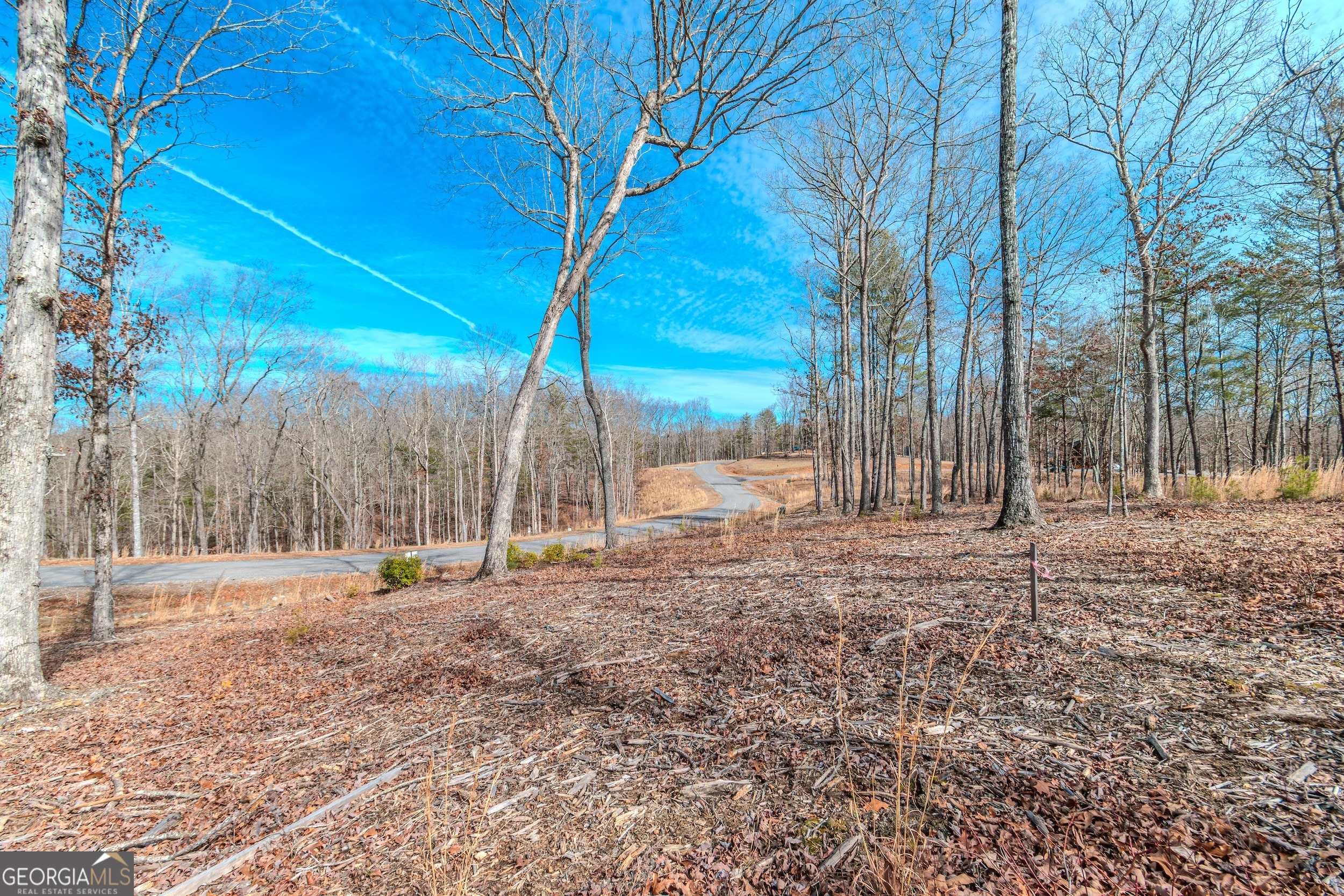 Lot 61 Ridges Drive Morganton, GA 30560 - Photo 14 of 22 a view of outdoor space with deck and trees