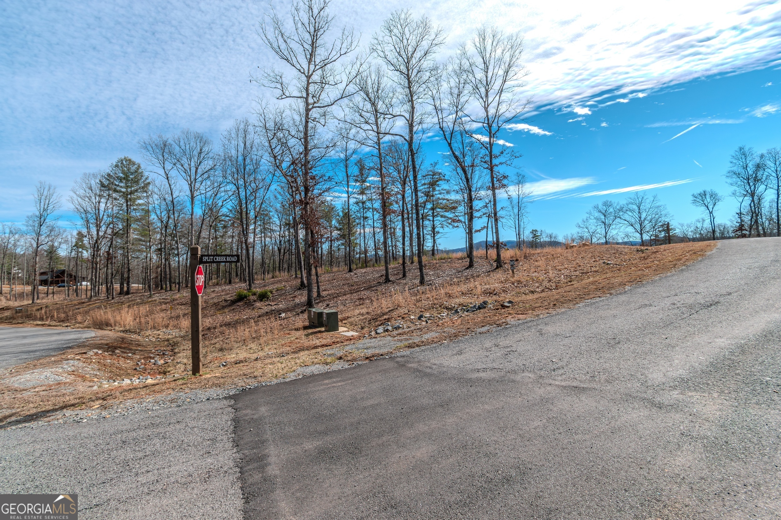 Lot 61 Ridges Drive Morganton, GA 30560 - Photo 15 of 22