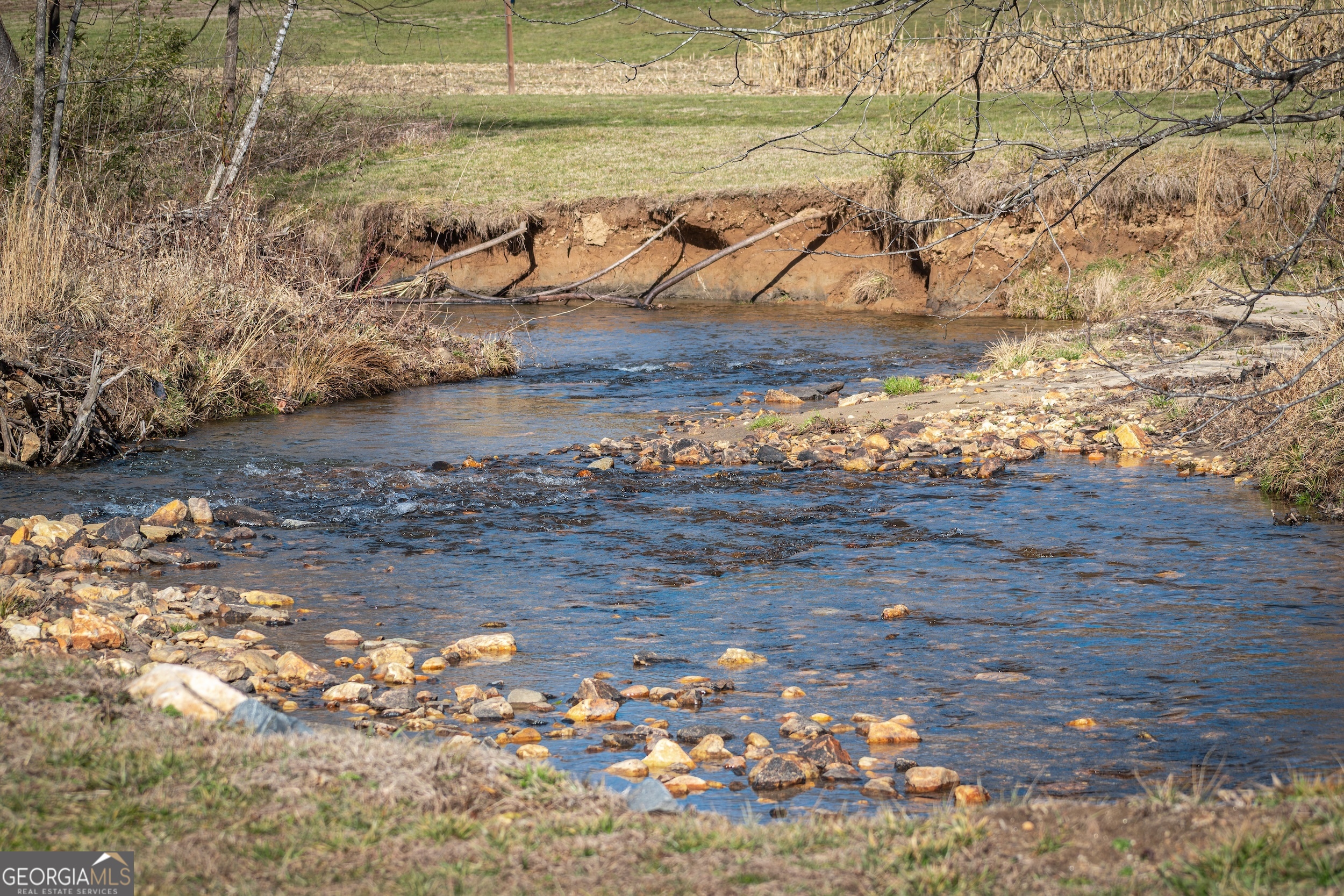 Lot 61 Ridges Drive Morganton, GA 30560 - Photo 20 of 22 a view of a lake with beach