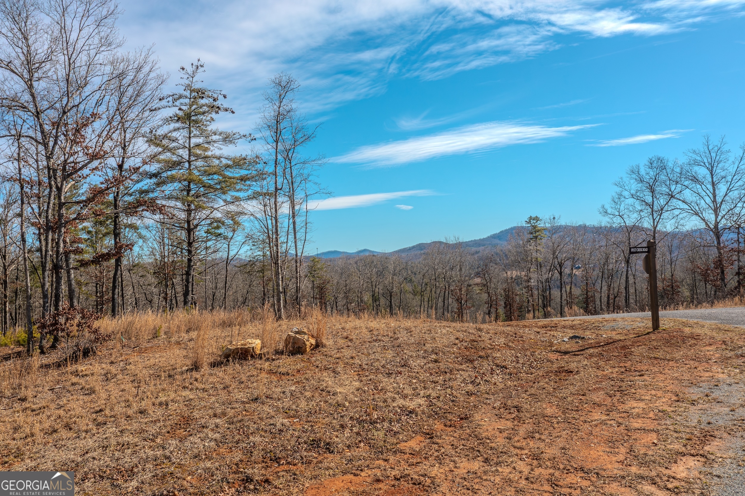 Lot 61 Ridges Drive Morganton, GA 30560 - Photo 2 of 22 a view of outdoor space with trees