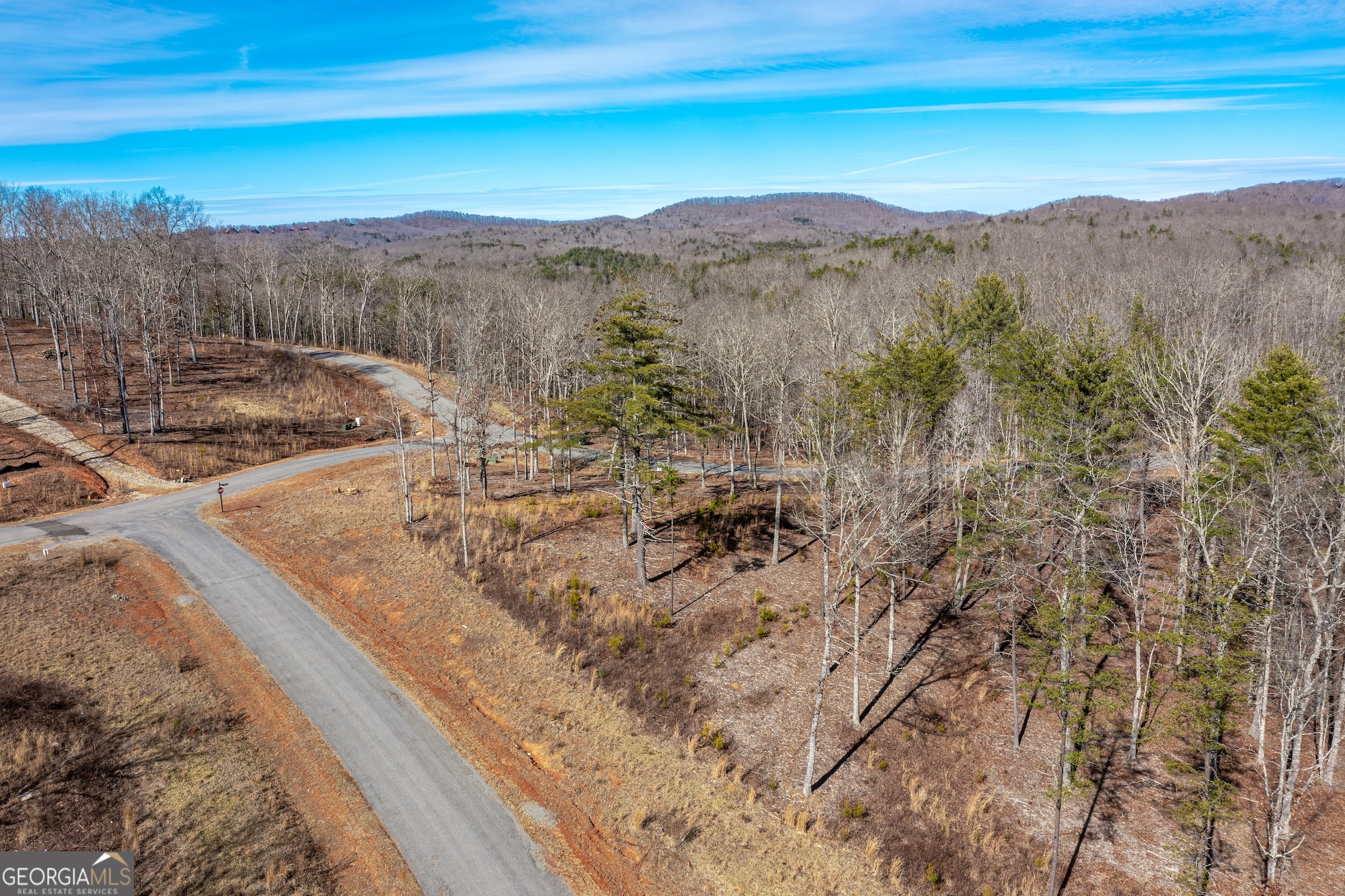 Lot 61 Ridges Drive Morganton, GA 30560 - Photo 3 of 22 a view of a backyard with a ocean view