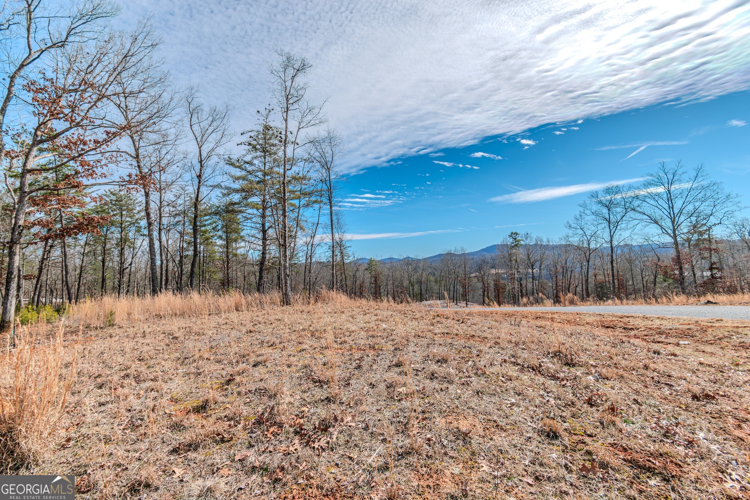 Lot 61 Ridges Drive Morganton, GA 30560 - Photo 5 of 22 a view of dirt yard