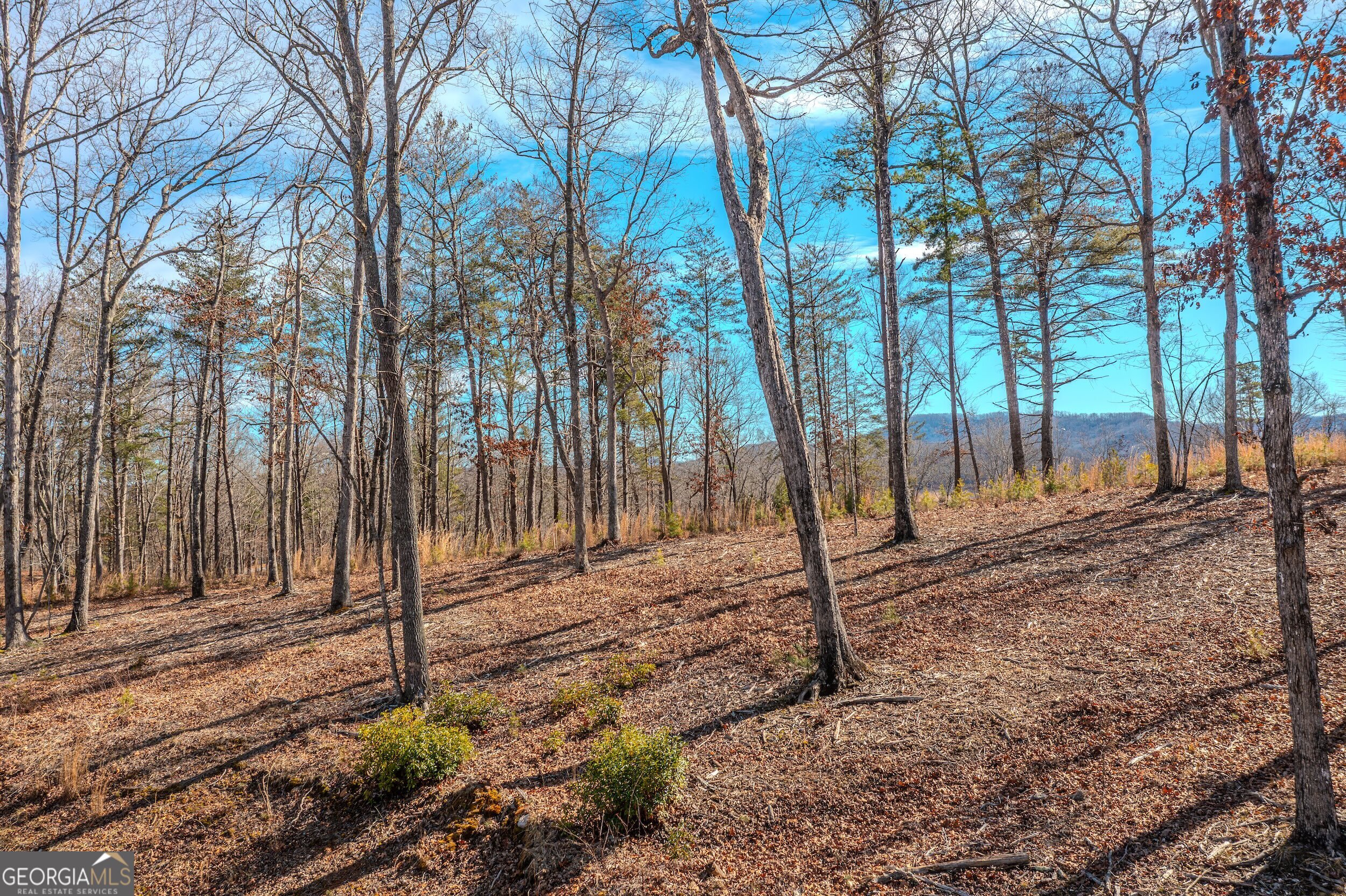 Lot 61 Ridges Drive Morganton, GA 30560 - Photo 6 of 22 a backyard of a house with lots of green space