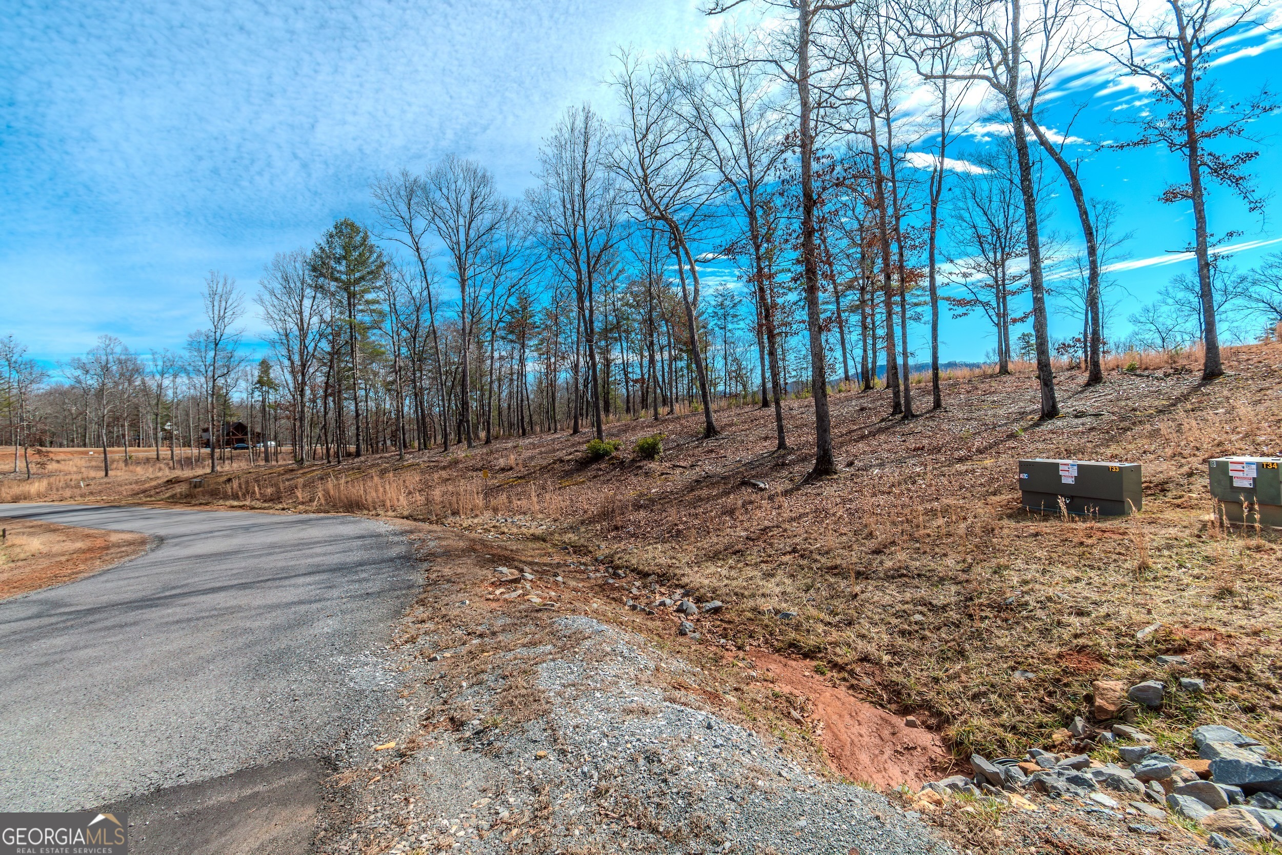 Lot 61 Ridges Drive Morganton, GA 30560 - Photo 7 of 22 a view of road and trees