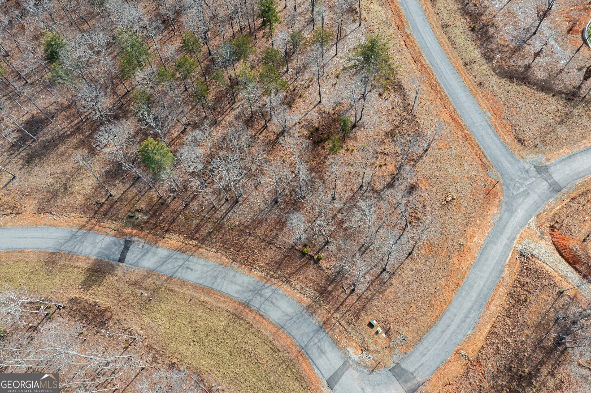 Lot 61 Ridges Drive Morganton, GA 30560 - Photo 8 of 22