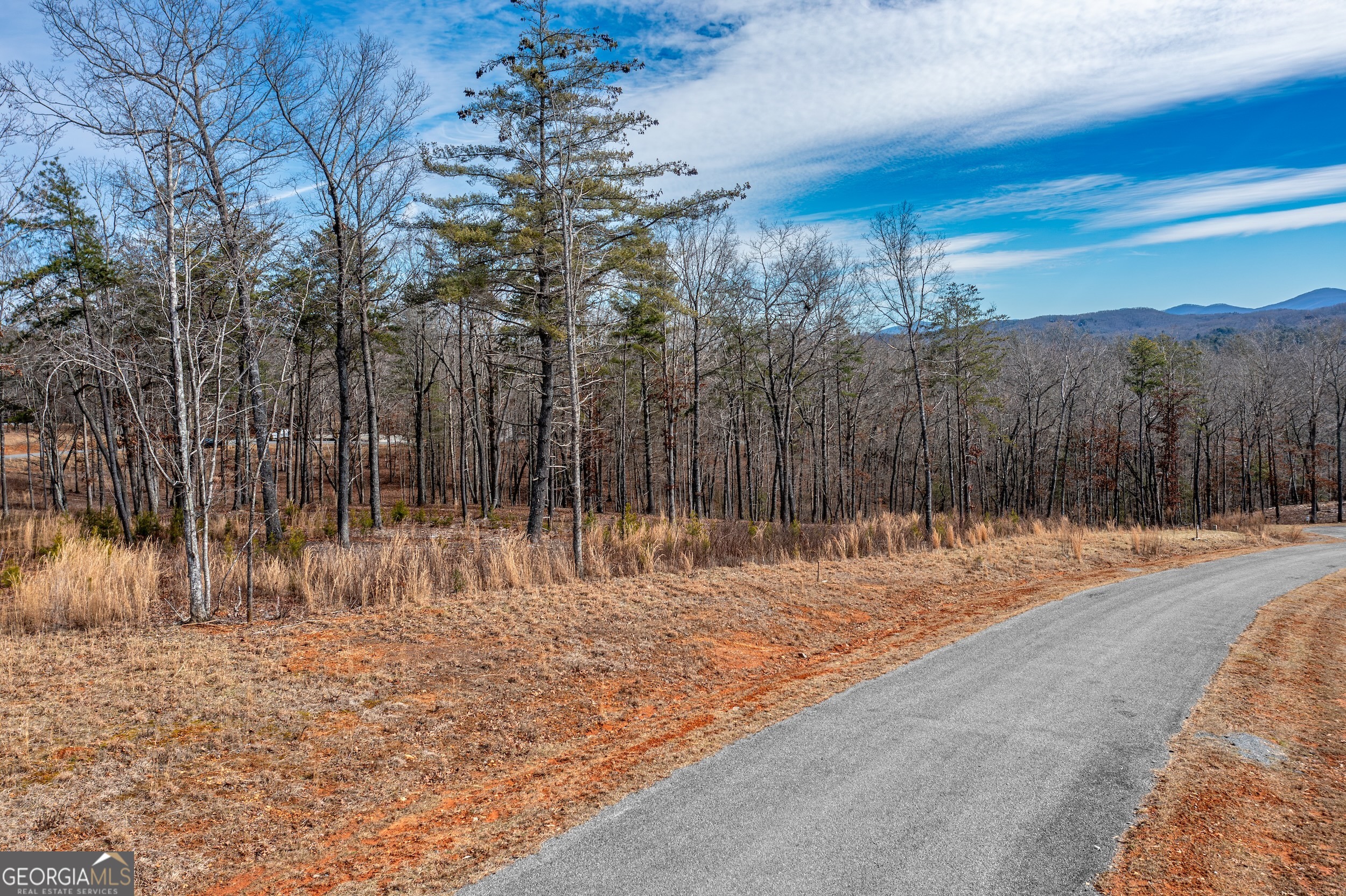 Lot 61 Ridges Drive Morganton, GA 30560 - Photo 9 of 22 a view of a backyard of a house