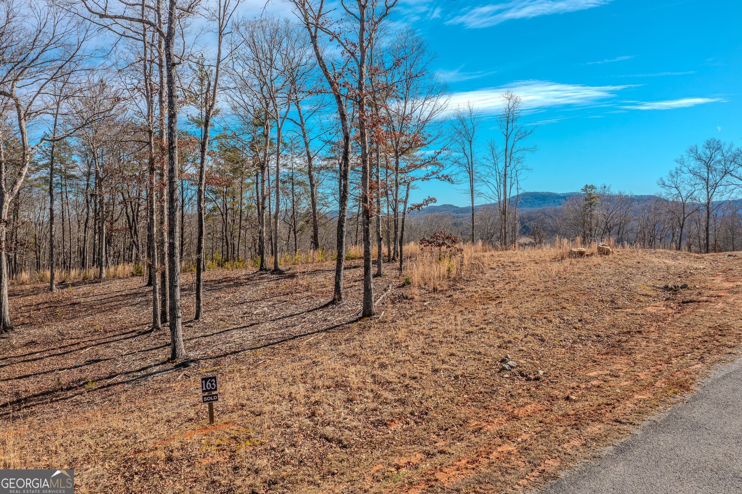 Lot 61 Ridges Drive Morganton, GA 30560 - Photo 10 of 22 a view of a yard with a tree