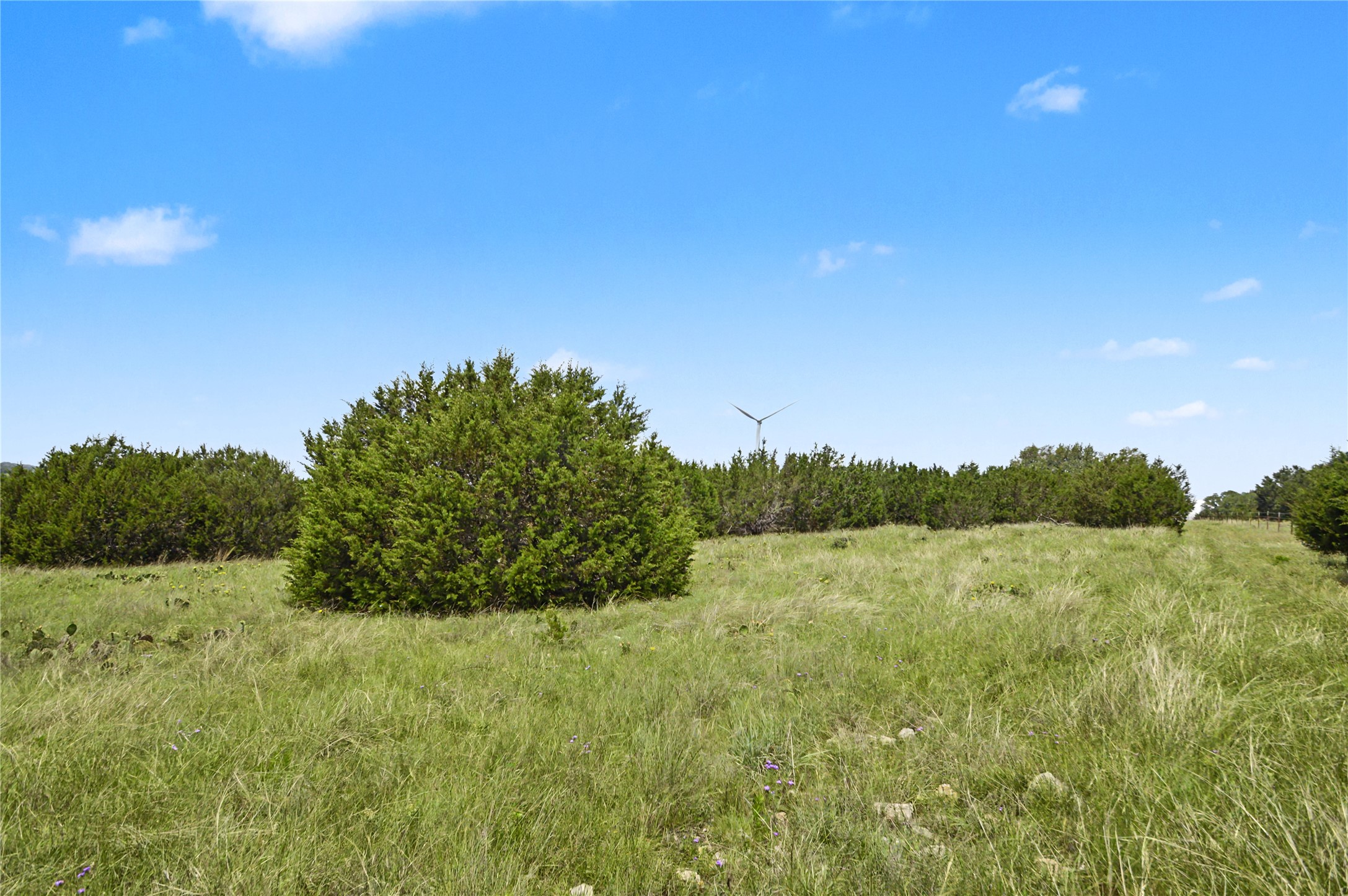179 East Country Road Goldthwaite, TX 76844 - Photo 11 of 28