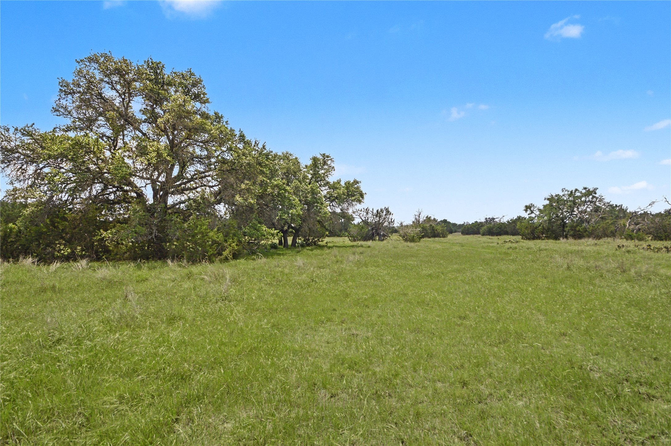 179 East Country Road Goldthwaite, TX 76844 - Photo 12 of 28