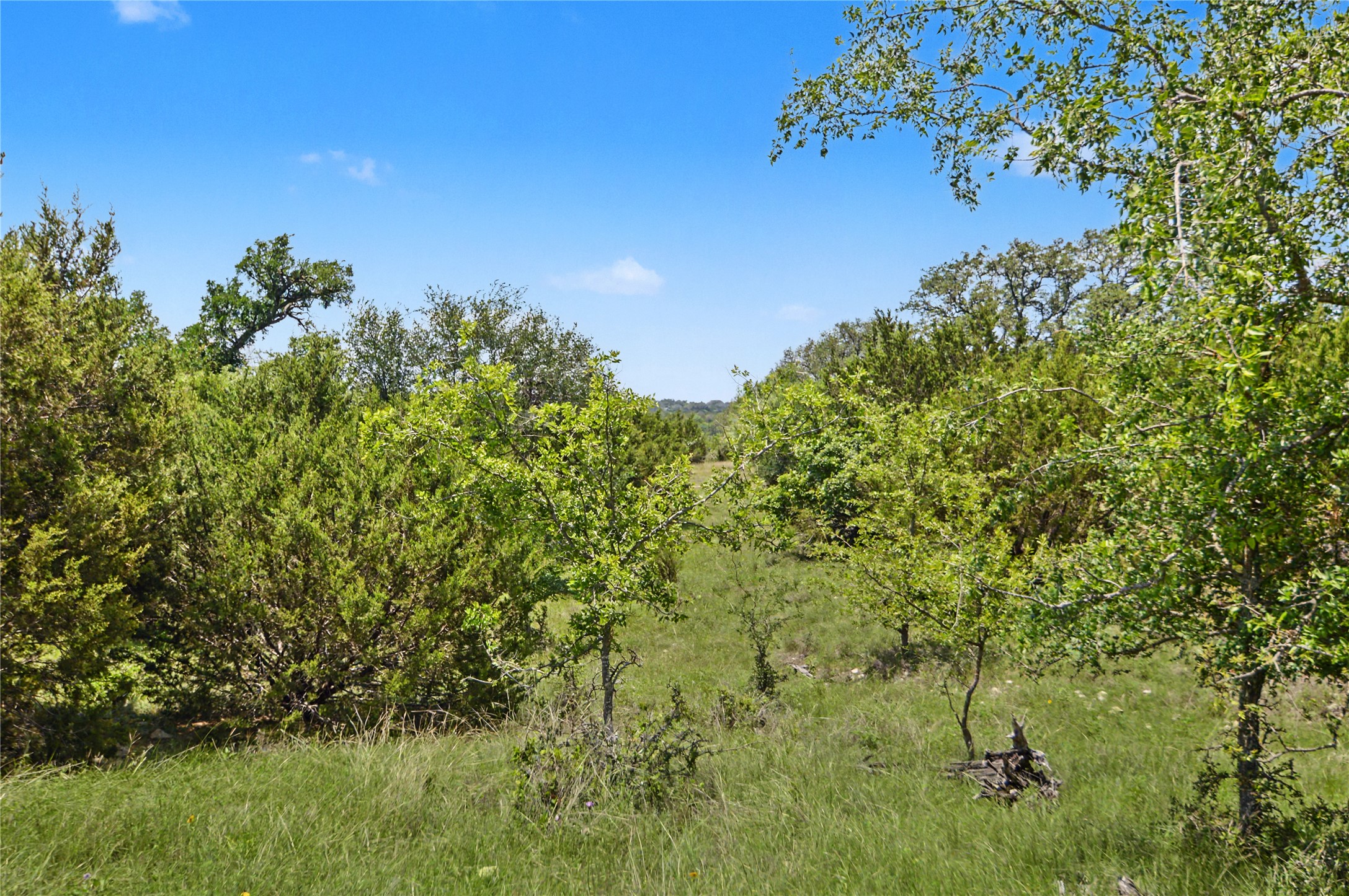 179 East Country Road Goldthwaite, TX 76844 - Photo 13 of 28