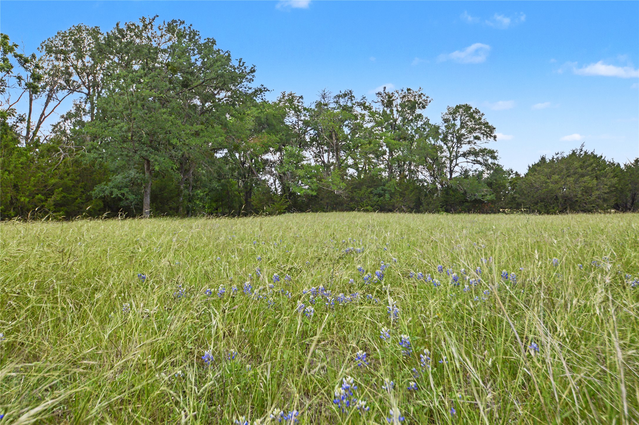 179 East Country Road Goldthwaite, TX 76844 - Photo 20 of 28