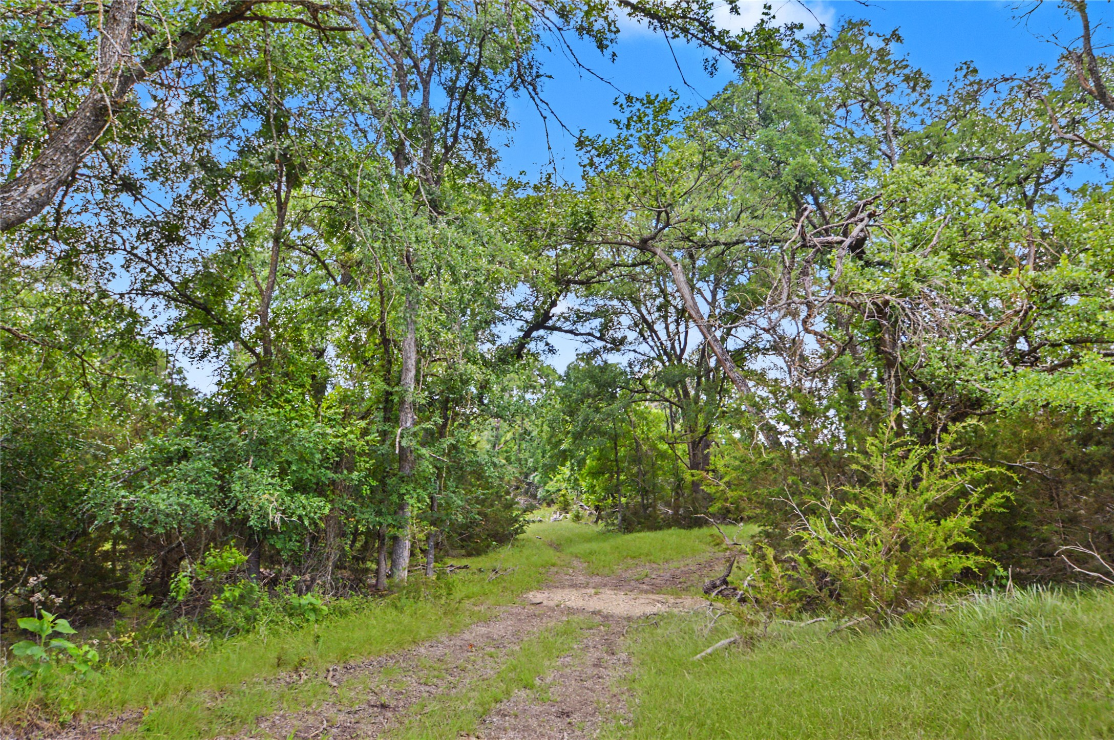 179 East Country Road Goldthwaite, TX 76844 - Photo 21 of 28