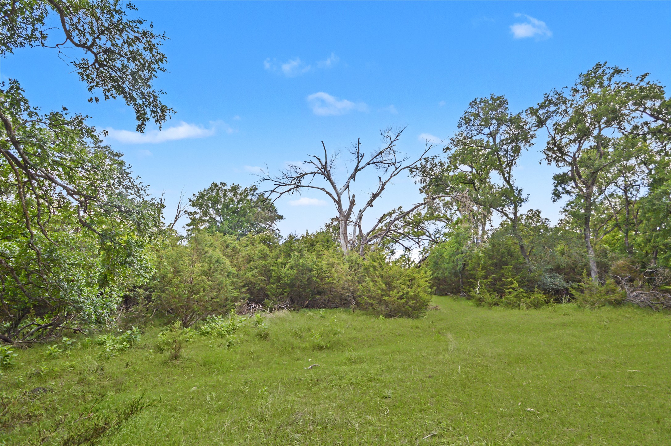 179 East Country Road Goldthwaite, TX 76844 - Photo 23 of 28