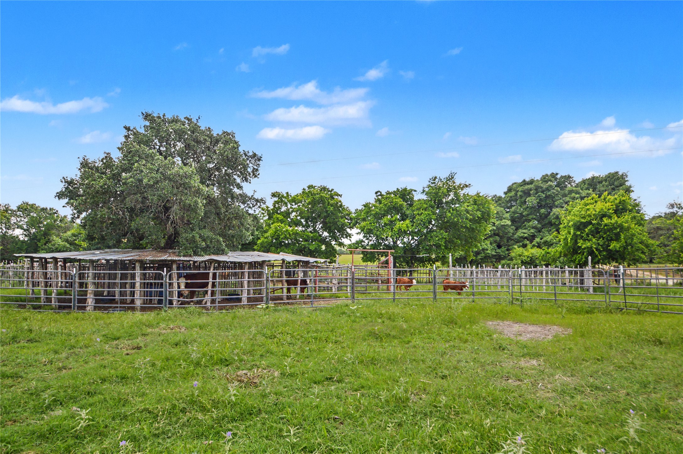 179 East Country Road Goldthwaite, TX 76844 - Photo 28 of 28