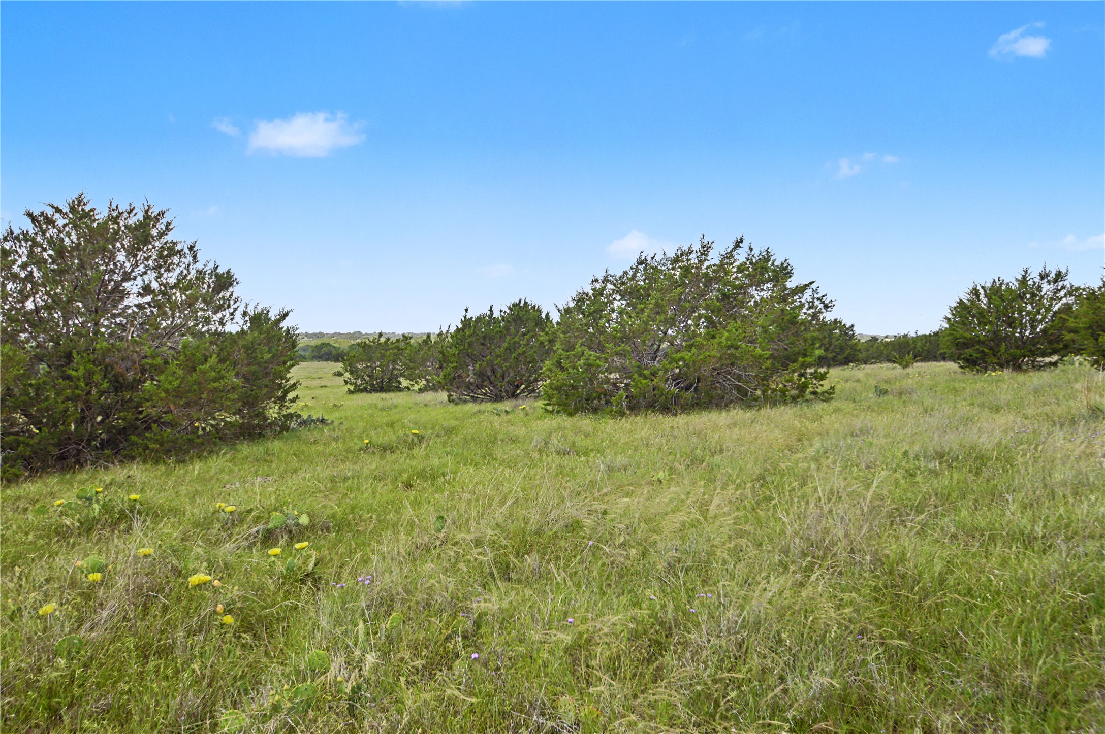 179 East Country Road Goldthwaite, TX 76844 - Photo 6 of 28