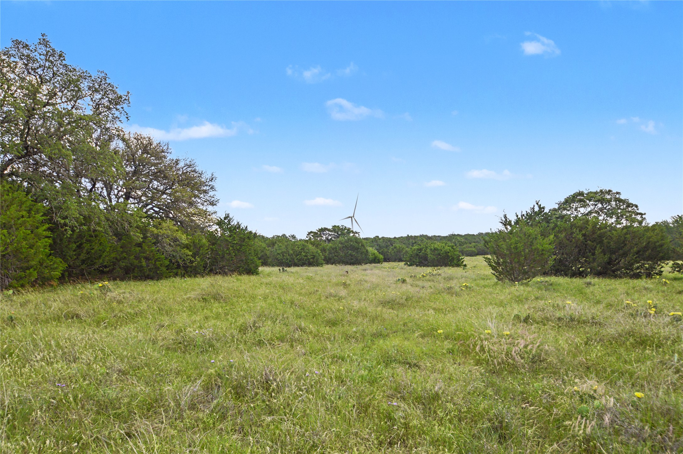 179 East Country Road Goldthwaite, TX 76844 - Photo 7 of 28