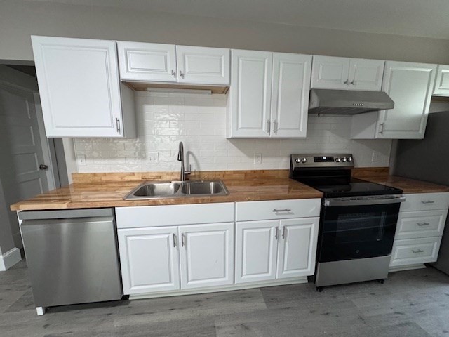 37 Cortland Street, Unit 1 Springfield, MA 01109 - Photo 3 of 14 a kitchen with white cabinets and a sink