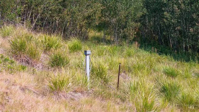 $199,999 | Tbd Homestead Road, Fairfield, ID 83327