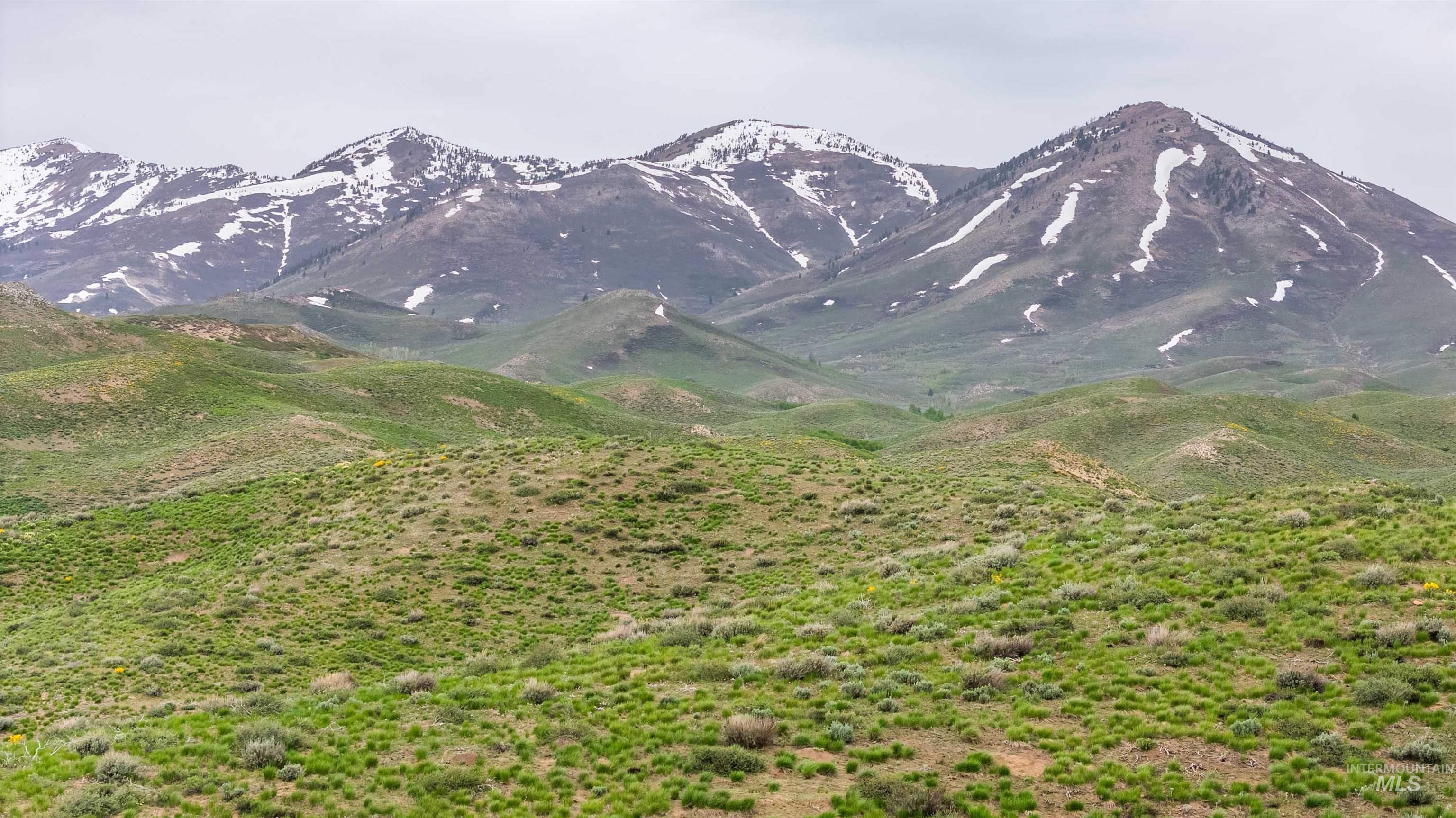 Tbd Homestead Road Fairfield, ID 83327 - Photo 6 of 15 View of mountain background