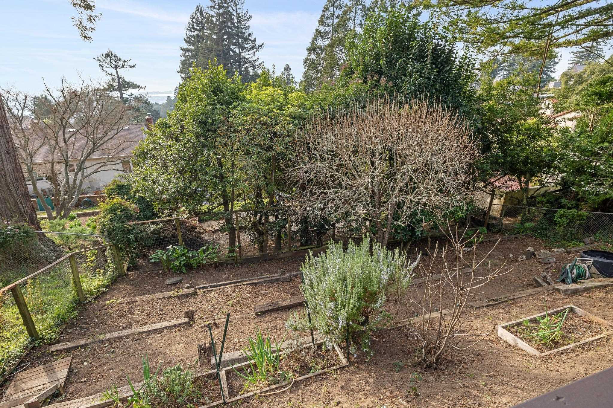 1024 Miller Avenue Berkeley, CA 94708 - Photo 50 of 60 Fenced backyard with a vegetable garden