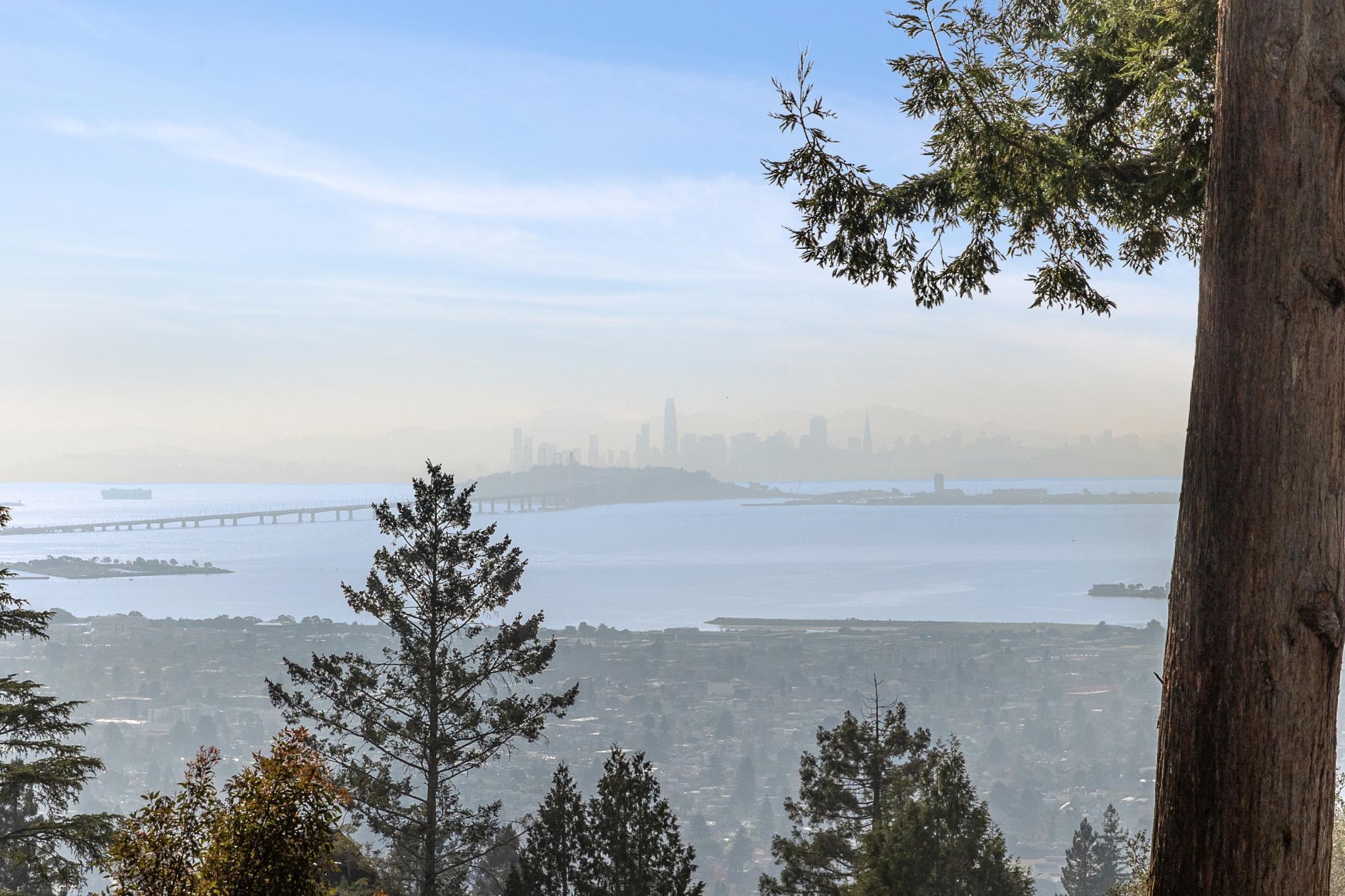 1024 Miller Avenue Berkeley, CA 94708 - Photo 59 of 60 Water view featuring skyline