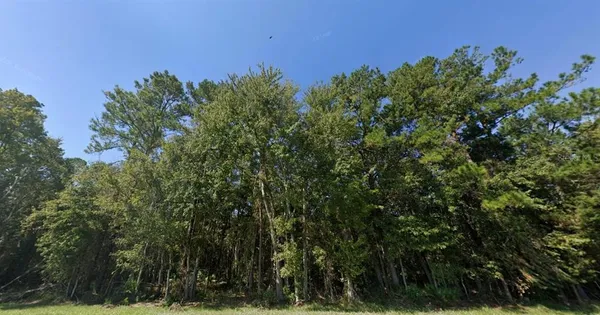 $146,999 | 11228 Northeast US Highway 301, Waldo, FL 32694