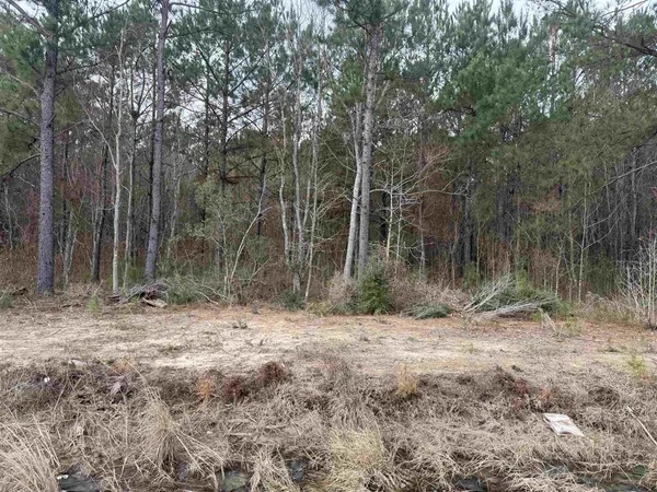$73,810 | 383 Highway Iowa La, Iowa, LA 70647