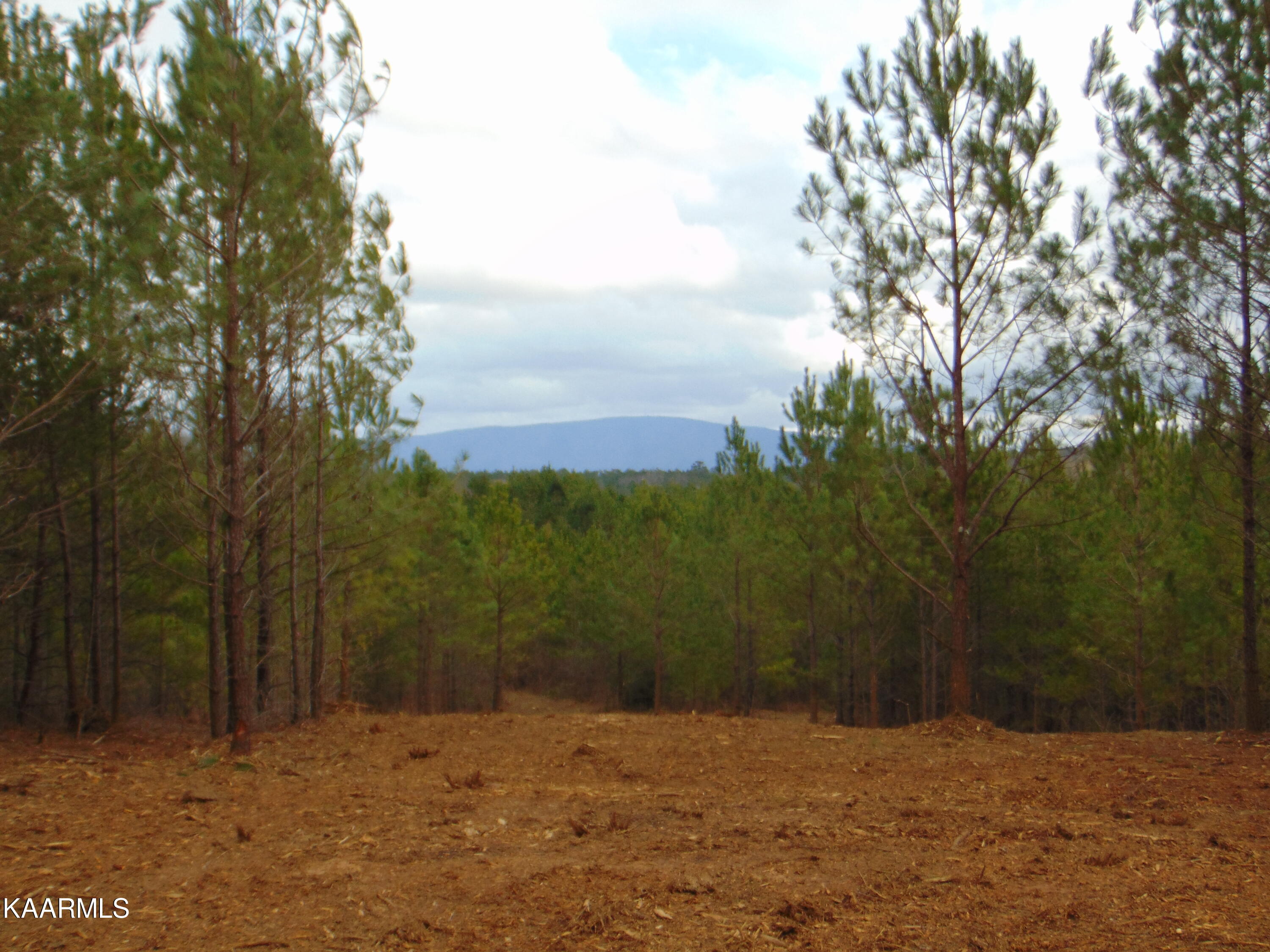 14 Athens Road Calhoun, TN 37309 - Photo 1 of 50 DSC02340