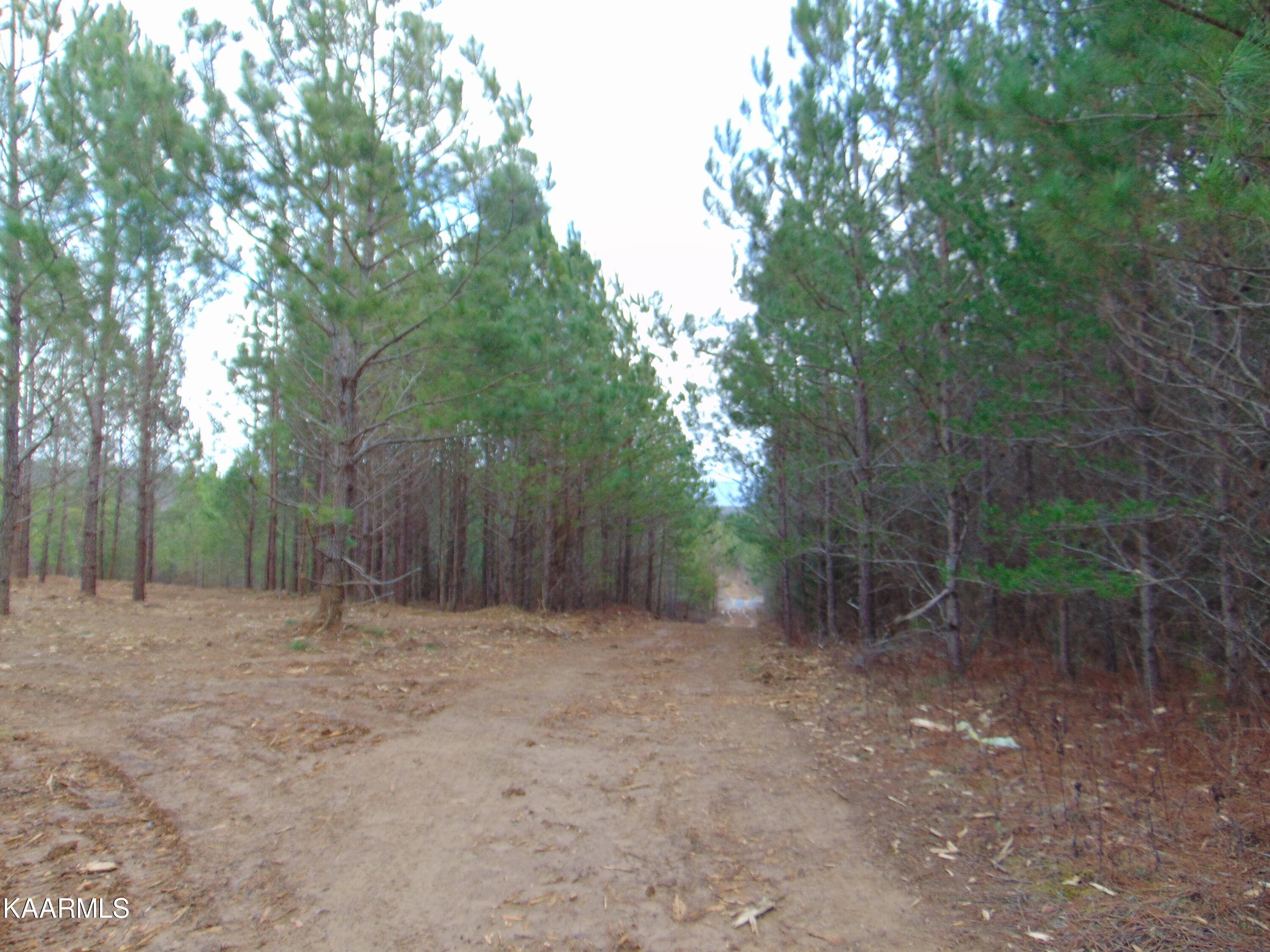 14 Athens Road Calhoun, TN 37309 - Photo 13 of 50 DSC02337