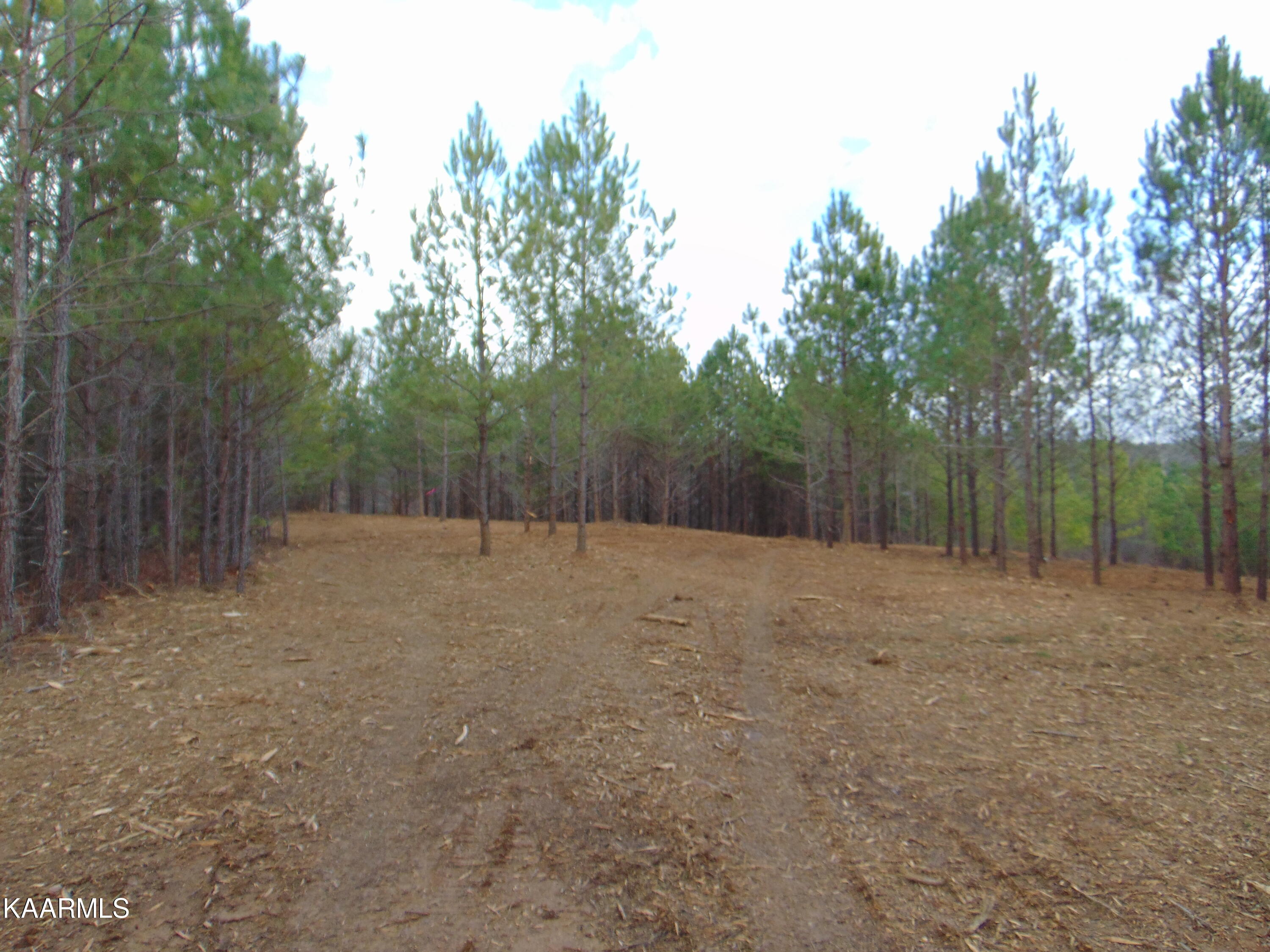 14 Athens Road Calhoun, TN 37309 - Photo 14 of 50 DSC02338