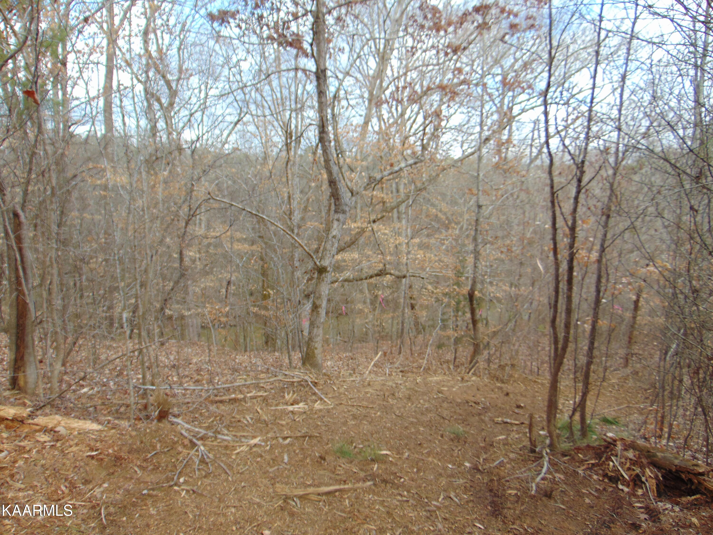 14 Athens Road Calhoun, TN 37309 - Photo 20 of 50 DSC02346