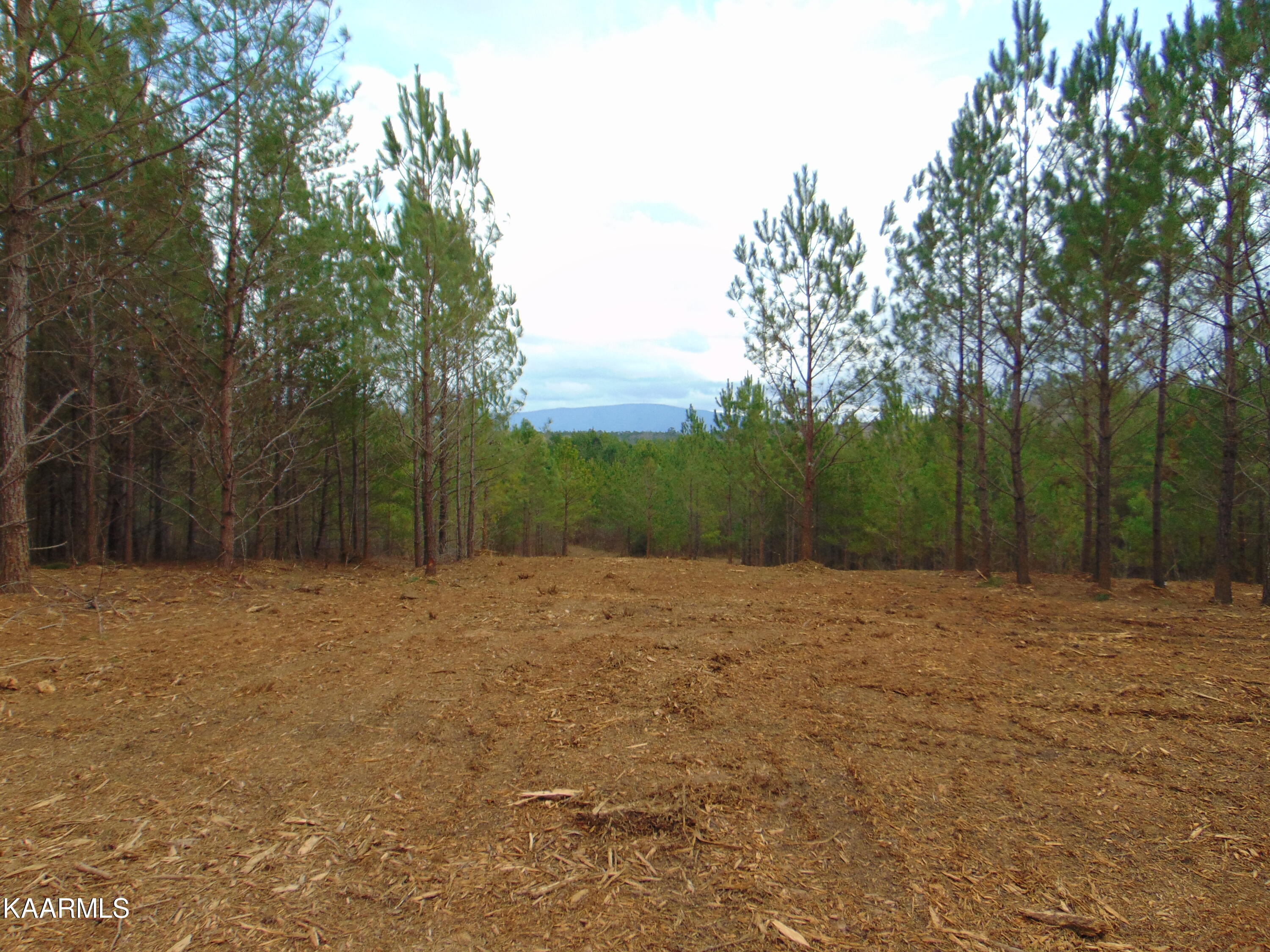14 Athens Road Calhoun, TN 37309 - Photo 2 of 50 DSC02341